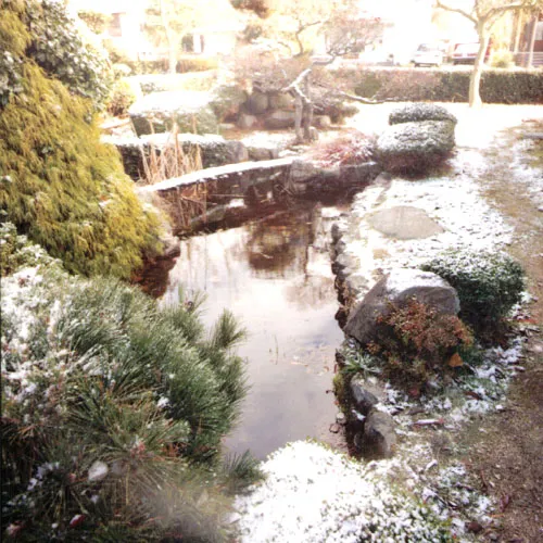 Pond & Garden
