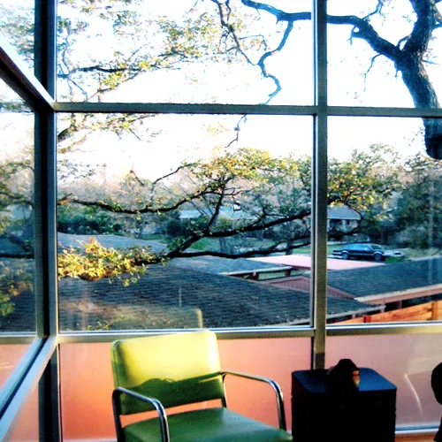 Interior View In The Trees